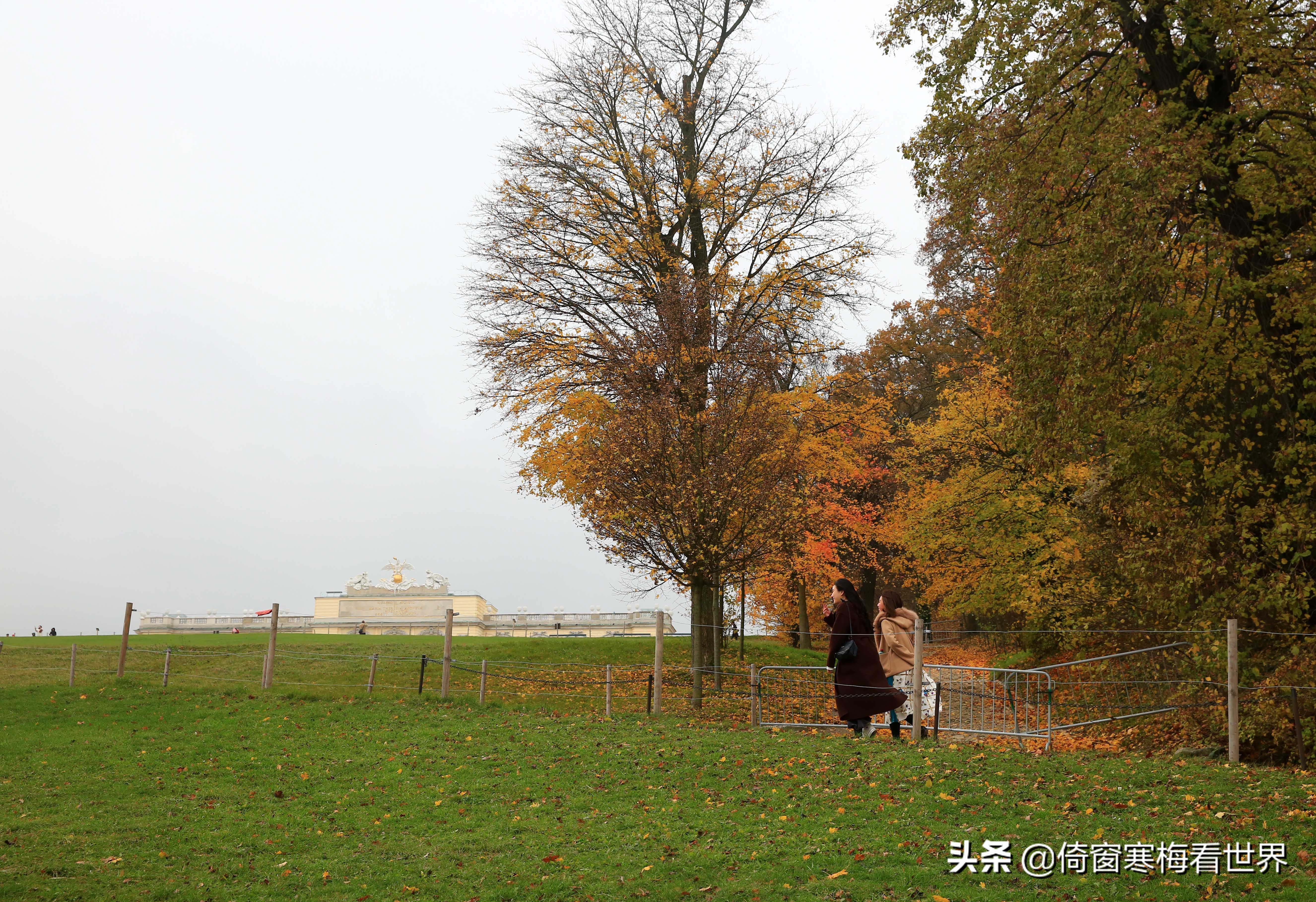 走马观花这首歌,走马观花乐器版