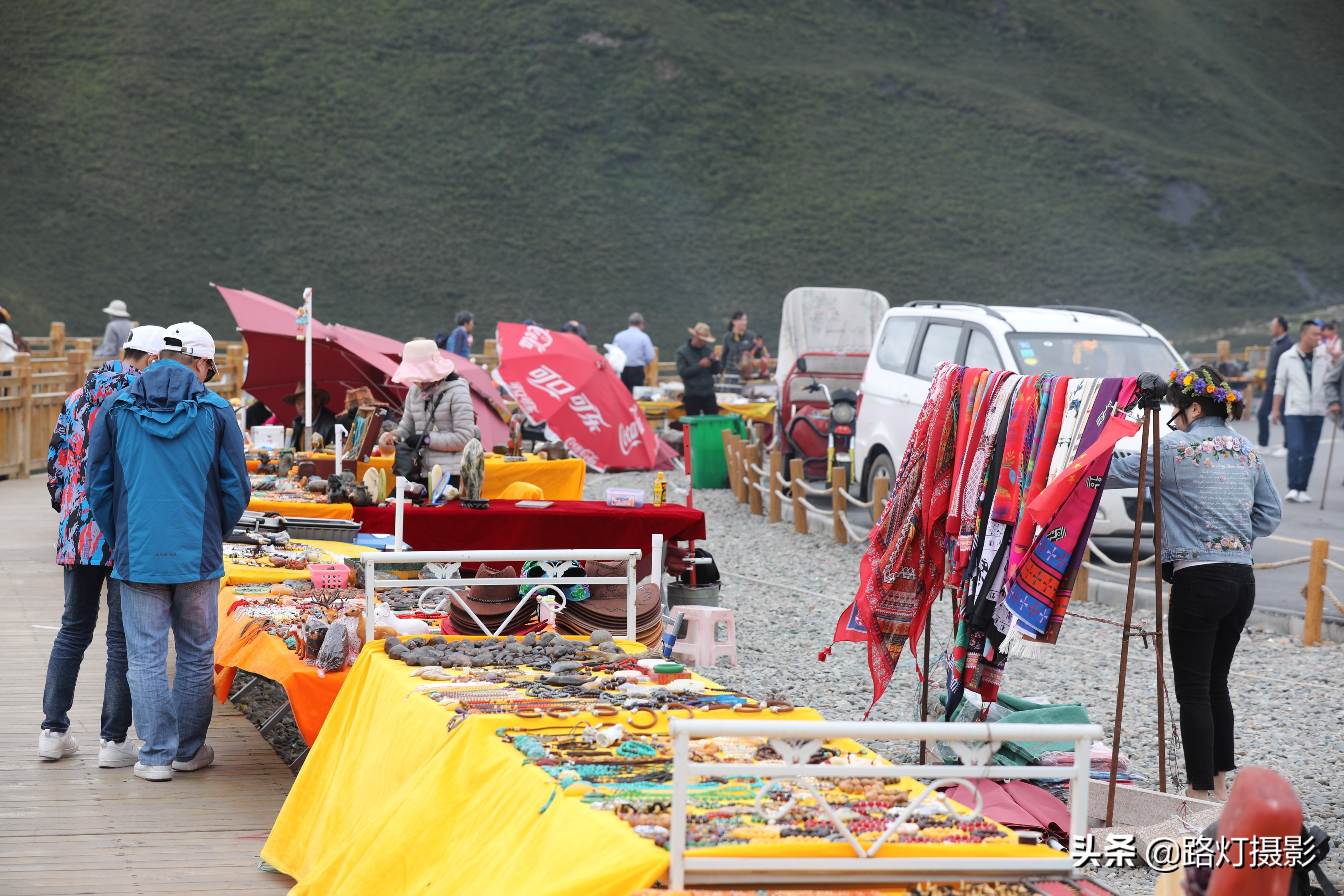 草原美丽的花海风景视频,青海花海旅游景区