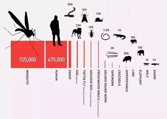 灭蚊灯中的终结者！纯物理灭蚊，无毒无味，孕妇孩子都可用