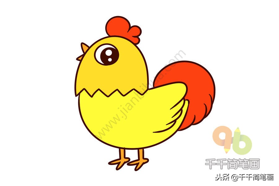 大公鸡和小蝴蝶的简笔画,大公鸡和兔子简笔画