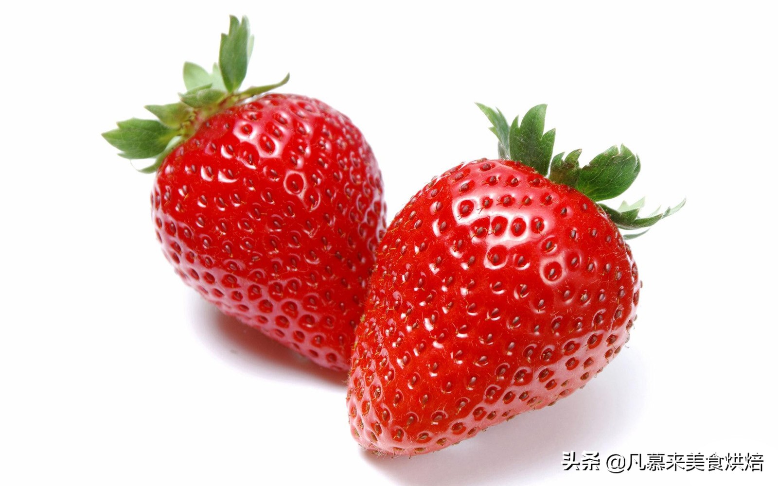 草莓哪个品种最好吃又好种,2018产量最好最大的草莓品种