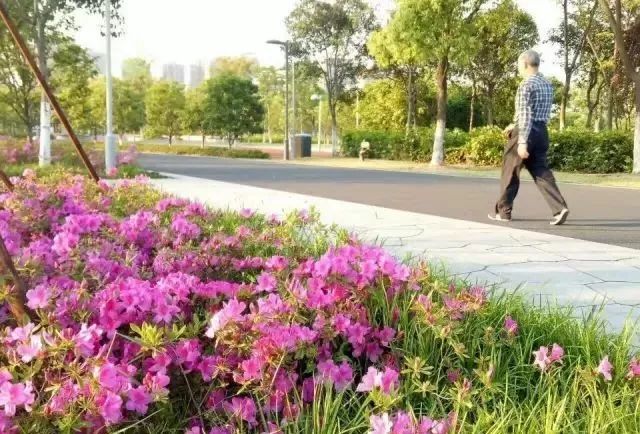 太仓市体育训练馆,太仓体育健身馆