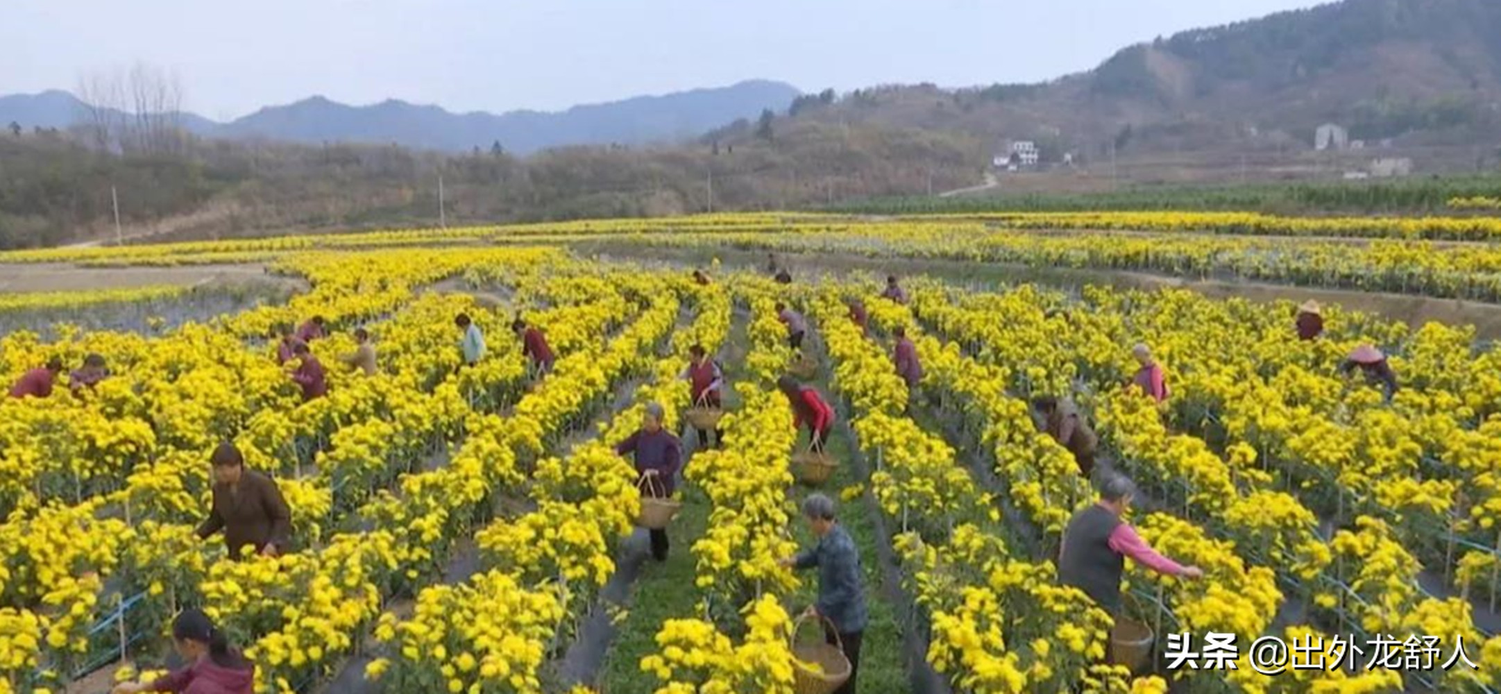 回忆学车的故事,回忆学车的点点滴滴