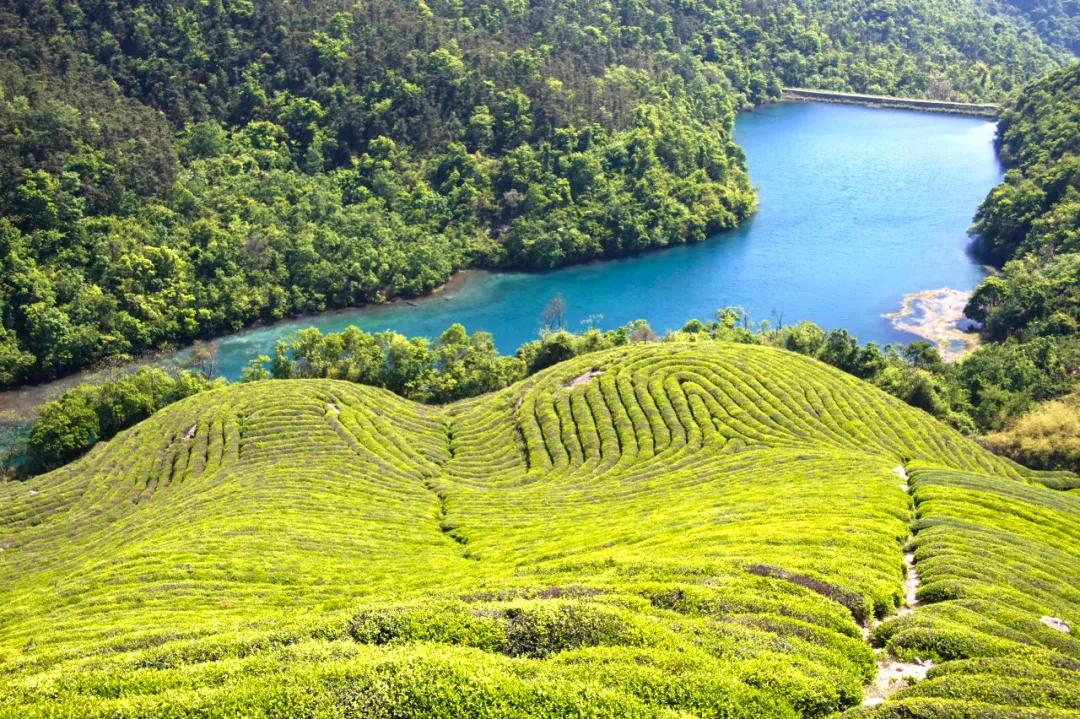 东钱湖为何叫东钱湖,东钱湖是不是人造湖