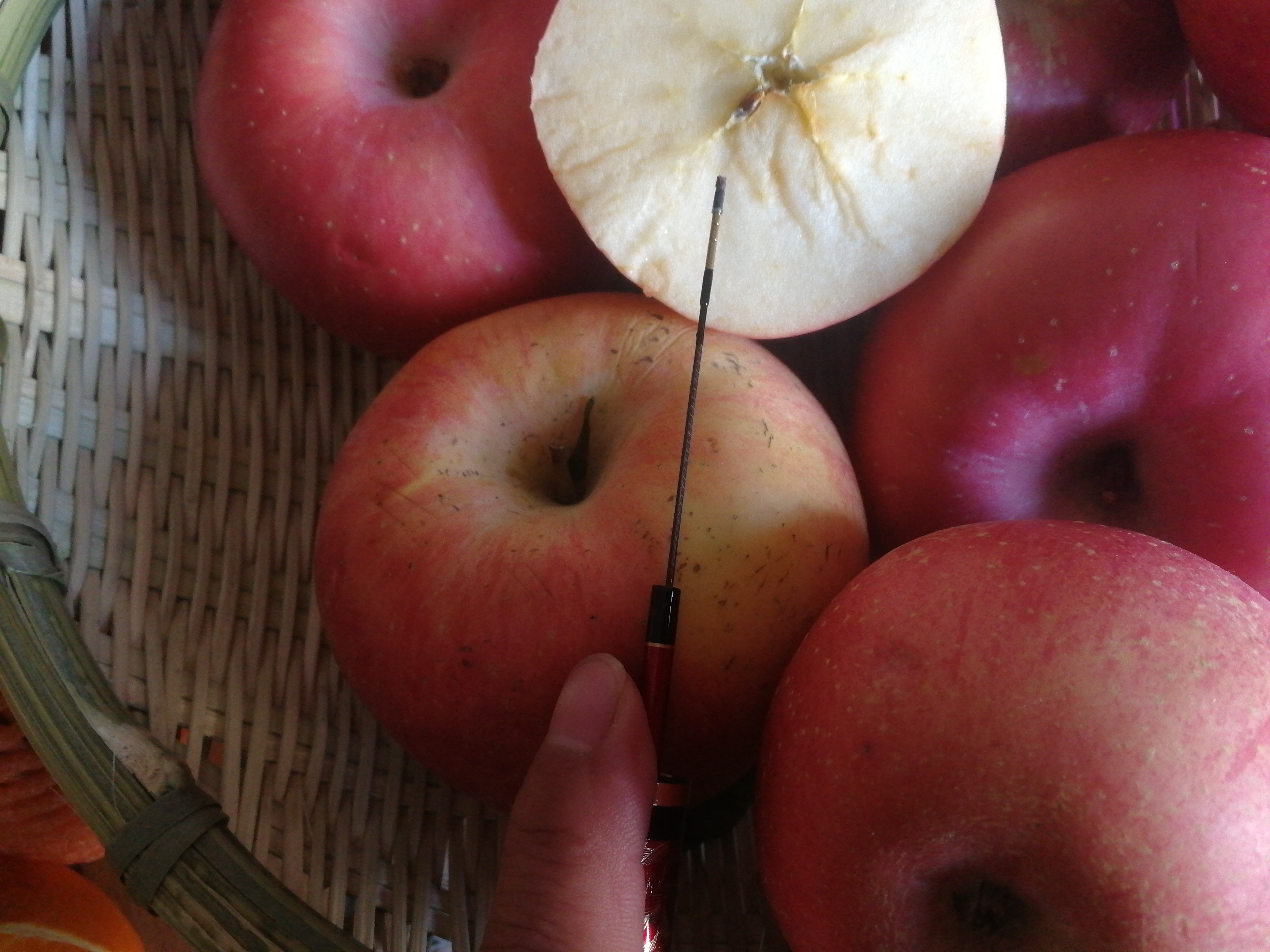 钓鱼竿的十大误区,钓竿到底该不该买