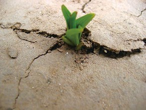 批发商商业模式,新零售渠道的趋势