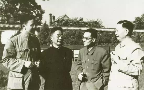 人生如白驹过隙且行且珍惜,人生在世如白驹过隙