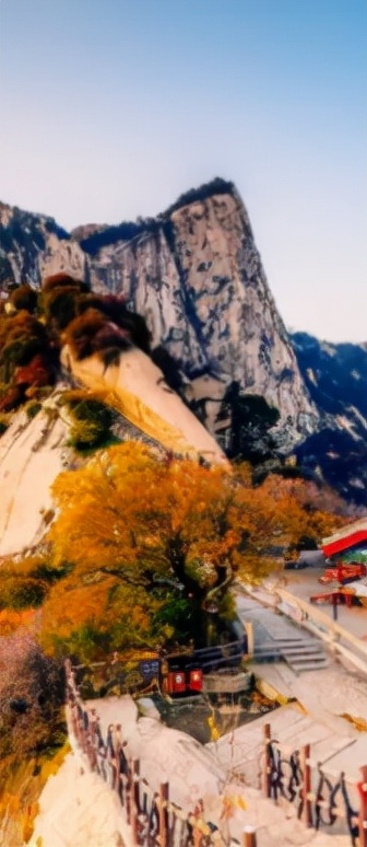 直播丨侠动北峰，一叶知秋