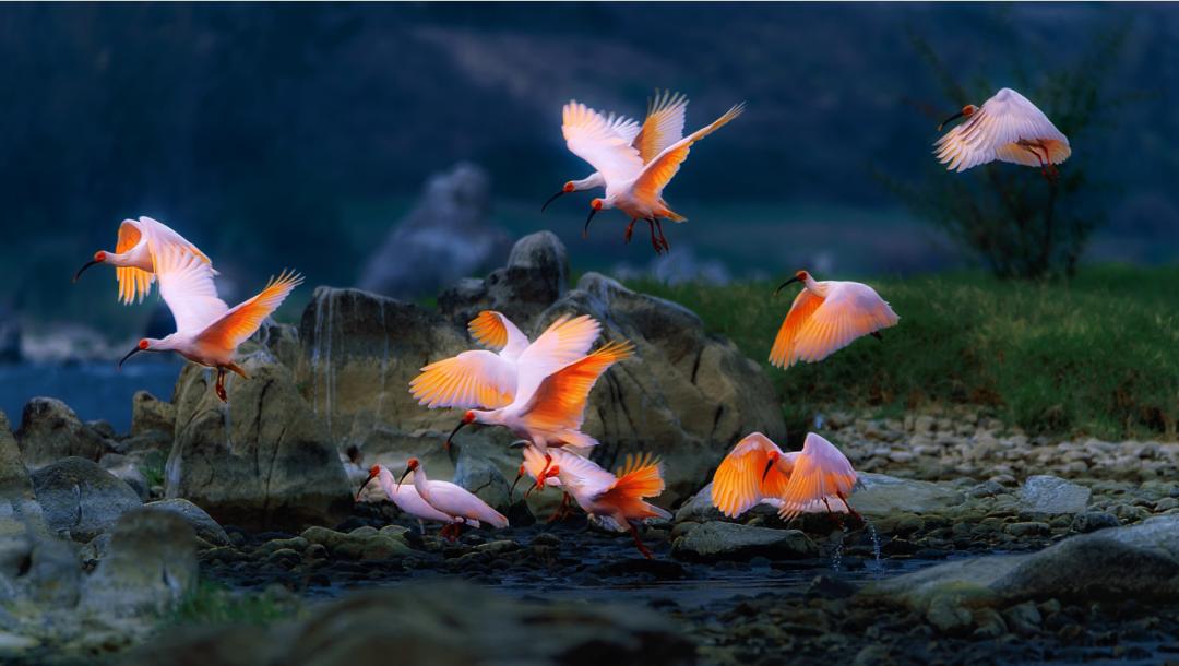 香港第14届全国摄影艺术展,第29届全国摄影艺术展览获奖名单