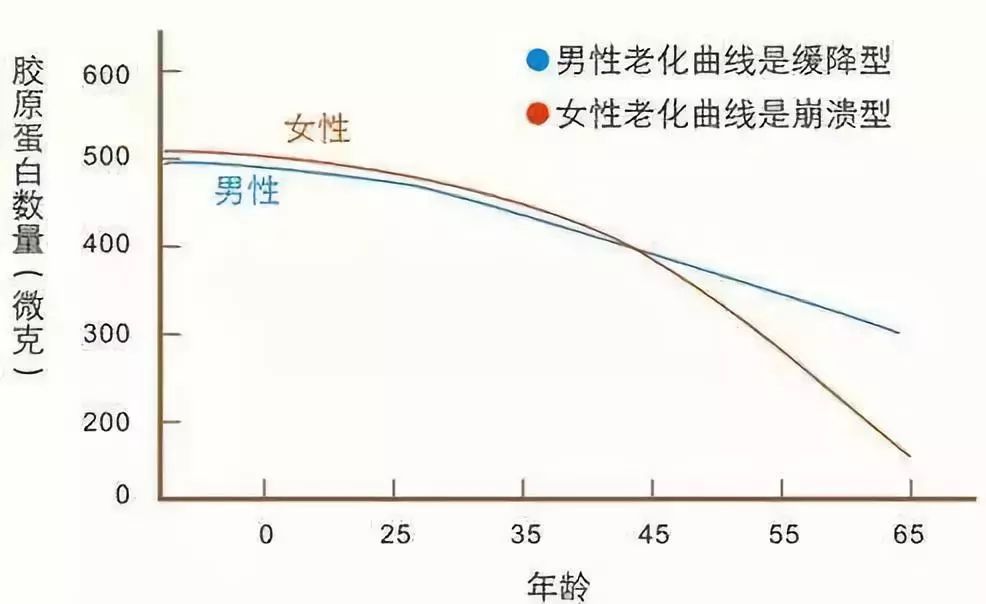 42岁的张韶涵喝胶原蛋白,张雨绮谈长期喝胶原蛋白