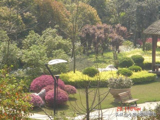 住宅小区植物配置方案,植物种植小技巧一览表图