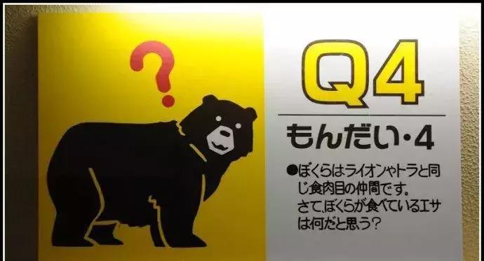 北海道市区接连两米巨熊，真实的熊出没好可怕！