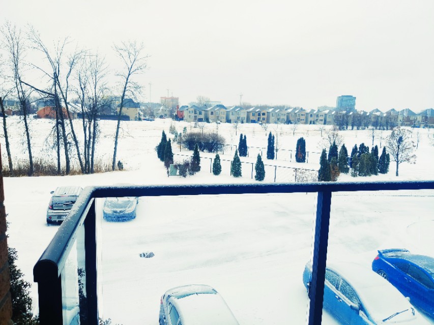 我在加拿大生活,加拿大租房子软件