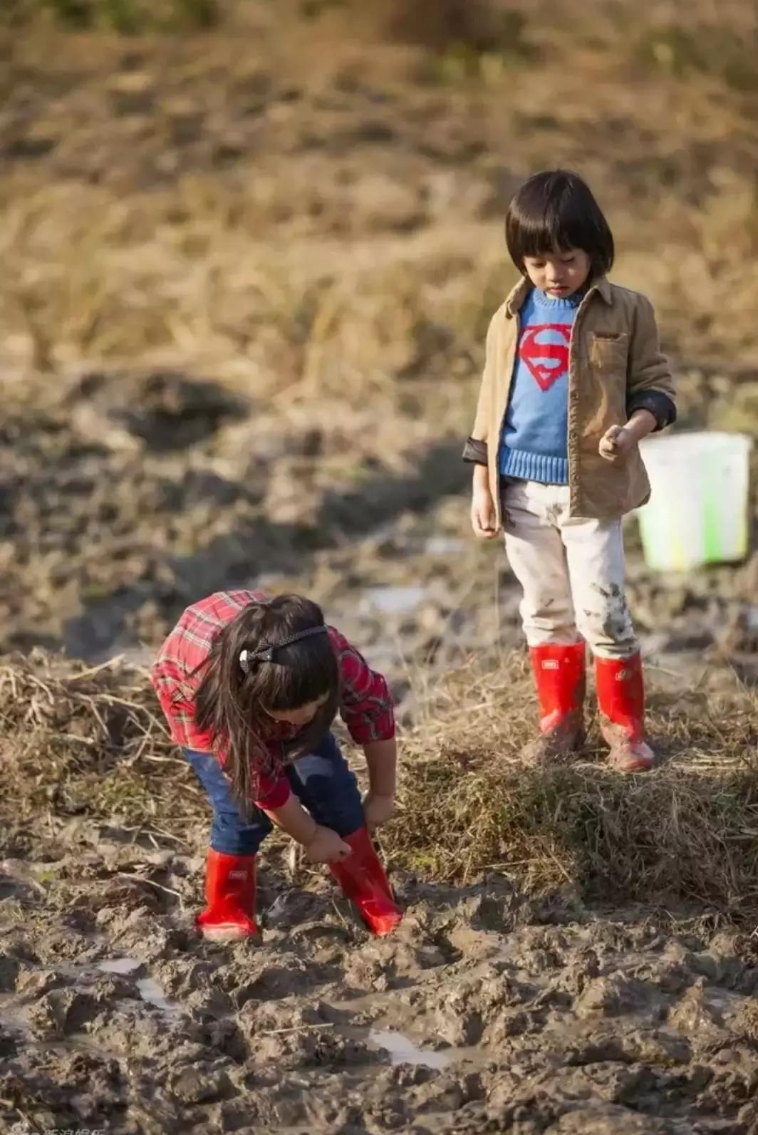 六一儿童节火车,六一快乐专列