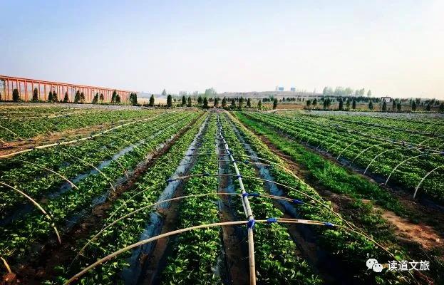 草莓小镇冬季去哪玩,草莓小镇中国园