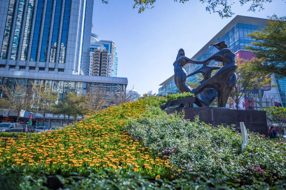 深圳花展2019年12月时间表,深圳第一场春天花展