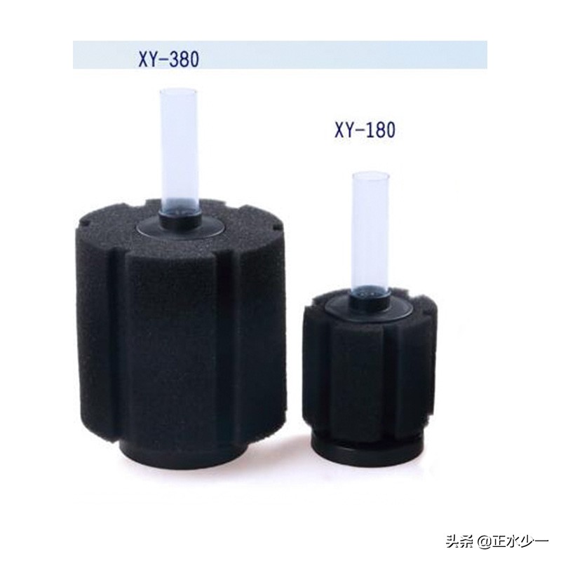 金鱼怎么养用超小鱼缸,养金鱼不要乱折腾