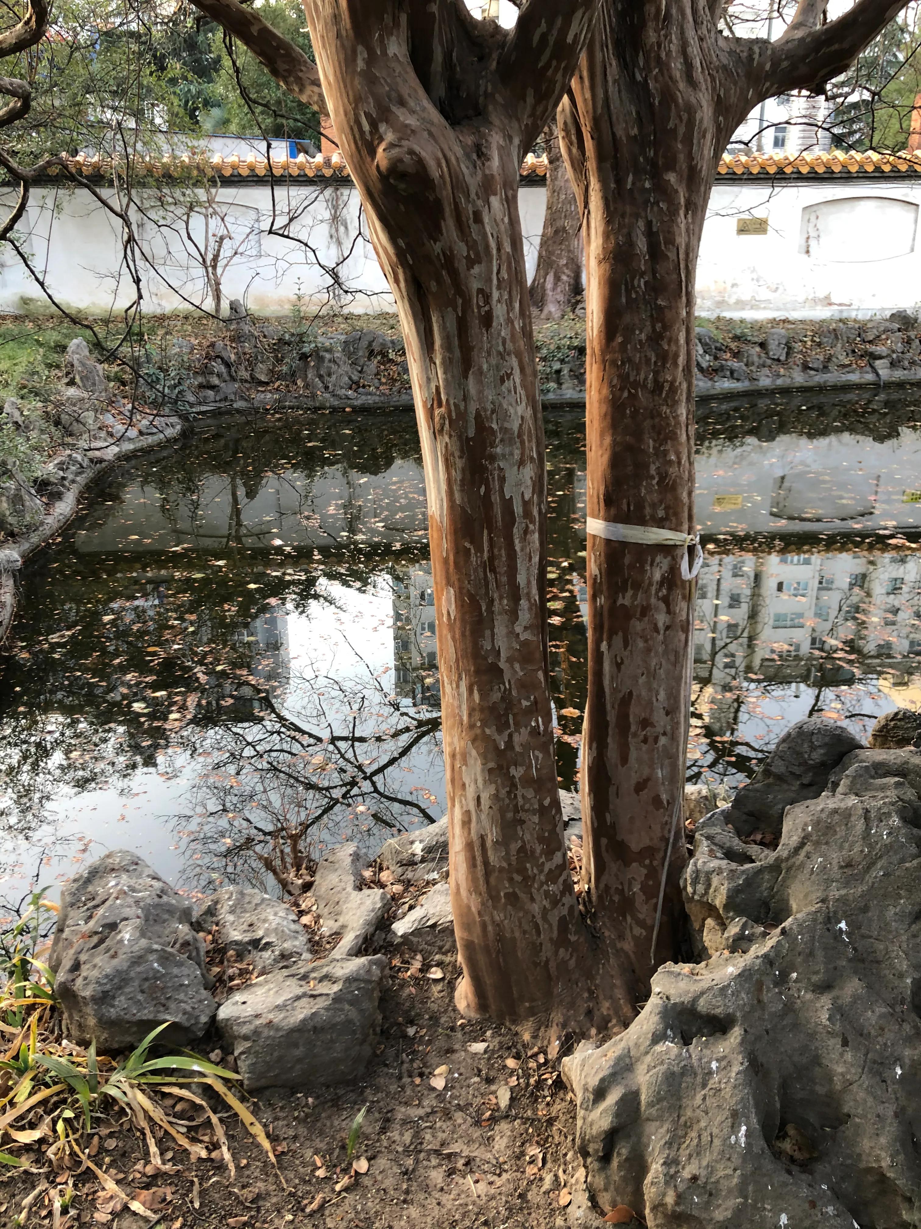 平顶山河滨公园旅游攻略,平顶山森林公园游记