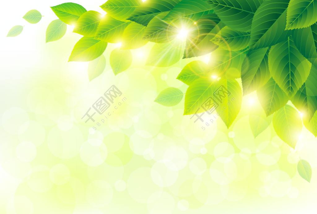 [秋叶之赋]秋日落叶漫漫，落叶归根，然而落叶有顽强的生命力