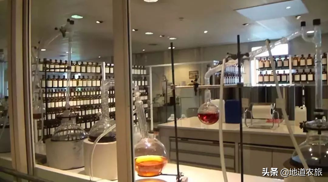 格拉斯小镇如何成为世界香水之都,格拉斯小镇被誉为香水之都的原因