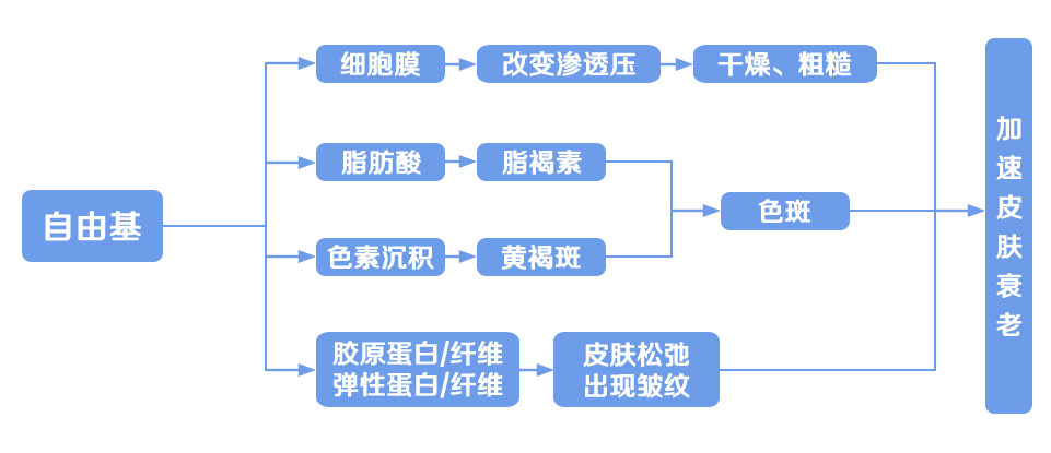 vc为什么可以让皮肤变嫩,vc护肤品对皮肤的作用与功效