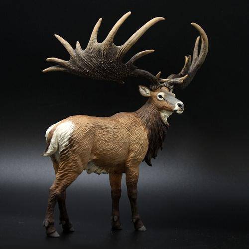 鹿茸割了梅花鹿会受影响吗,梅花鹿被割了鹿茸还会再长出来吗