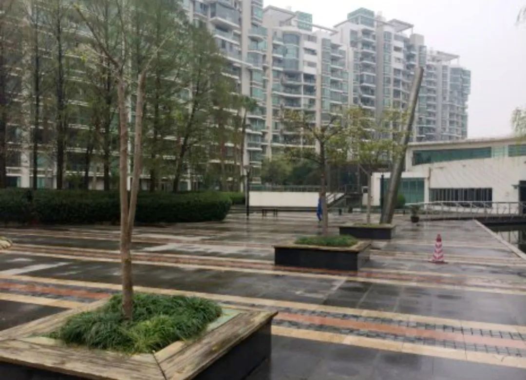 上海哪些小学好又好进,上海门槛低容易进的优质小学