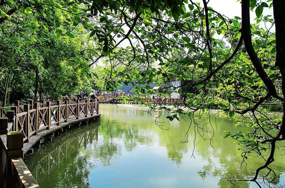 现在的半价优惠,免费半价会一起来吗