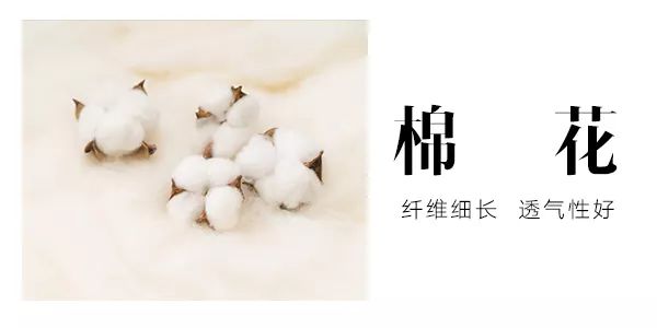 夏季白色衬衫应该哪种面料比较好,还在纠结穿什么呢