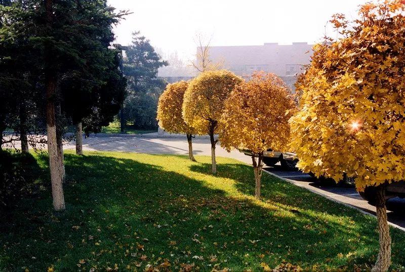 椴佽繀缇庢湳瀛﹂櫌鍏ㄥ浗澶у鎺掑悕澶氬皯,椴佽繀缇庢湳瀛﹂櫌鍦ㄥ叓澶х編闄㈡帓绗嚑