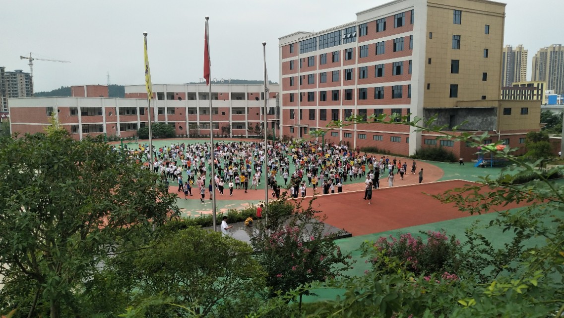 金猪辞旧玉鼠迎新,金猪纳福辞旧岁