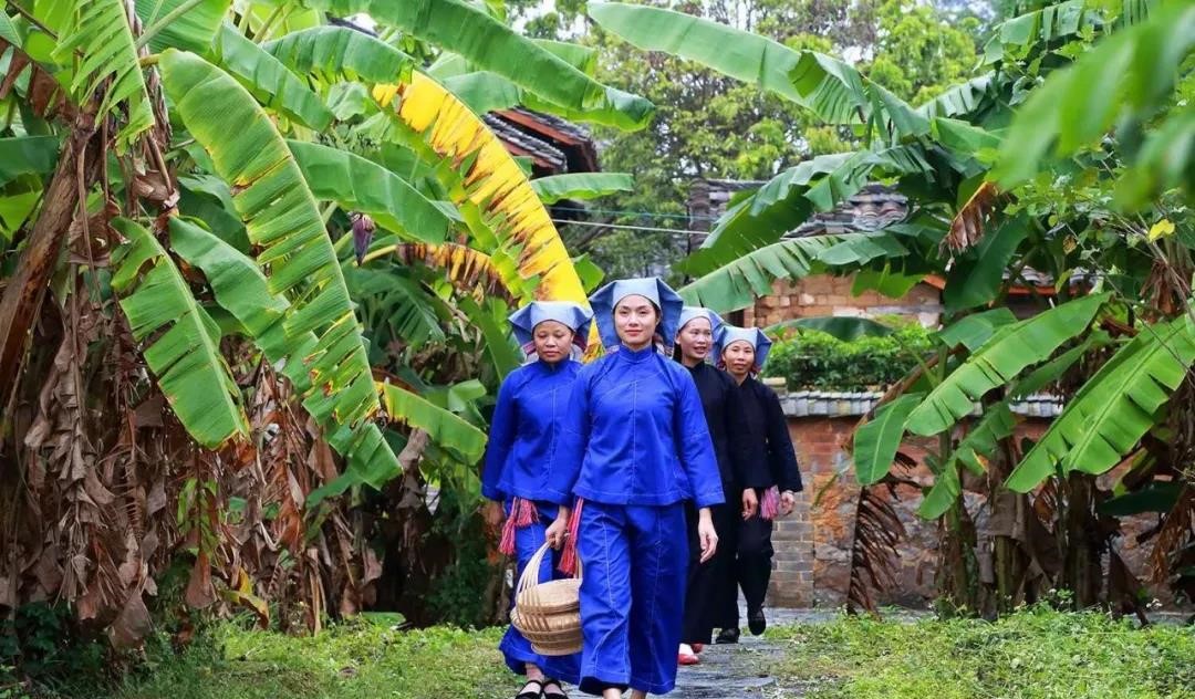 广西壮族自治区横县校椅镇榃曾村,2021年广西横县校椅镇榃僧村