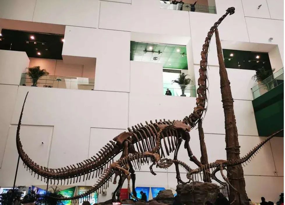 有图有真相有依据,有图有真相眼见为实