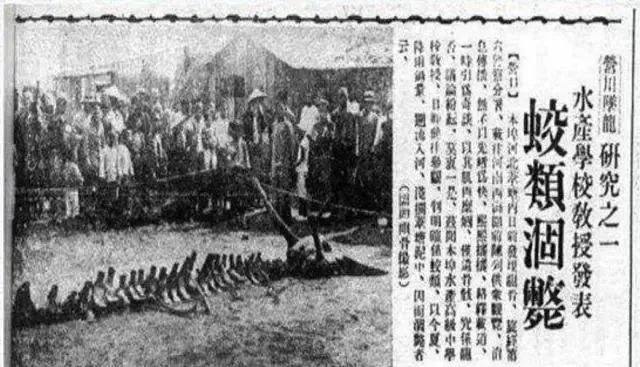 老人说见过龙,老人说看见龙是真的吗