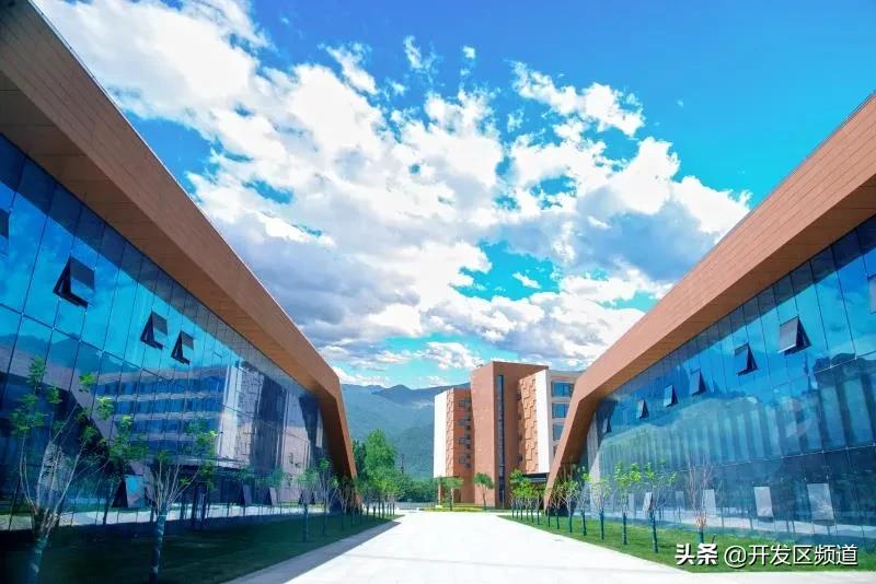 西安生物医药：你被谁抛弃了？