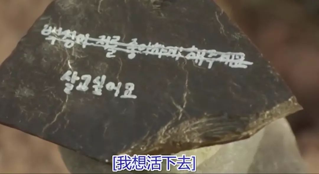 全是狗血电视剧,全是套路电影完整版