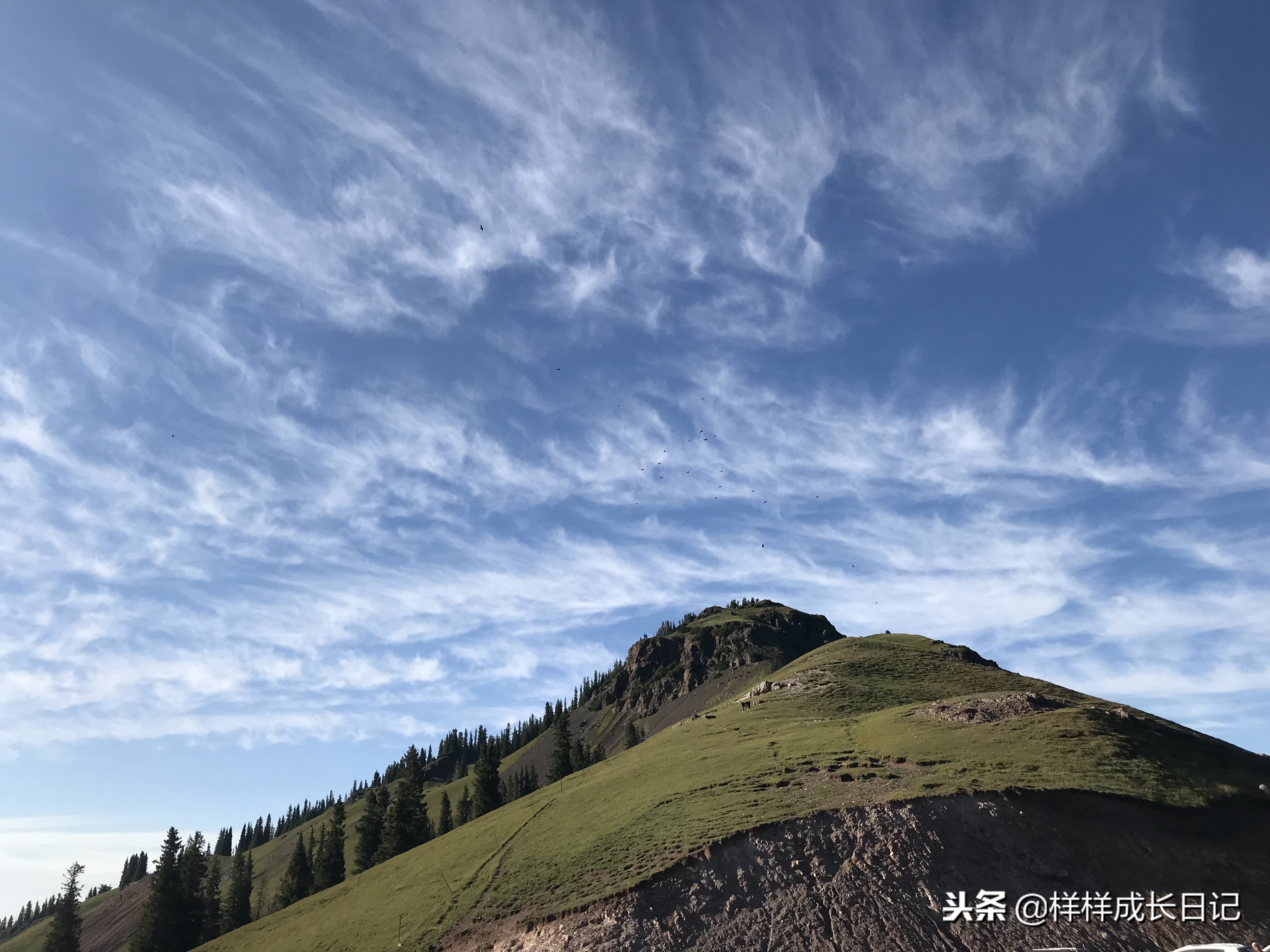 一家三口新疆伊犁旅游,自驾游霍尔果斯路线攻略