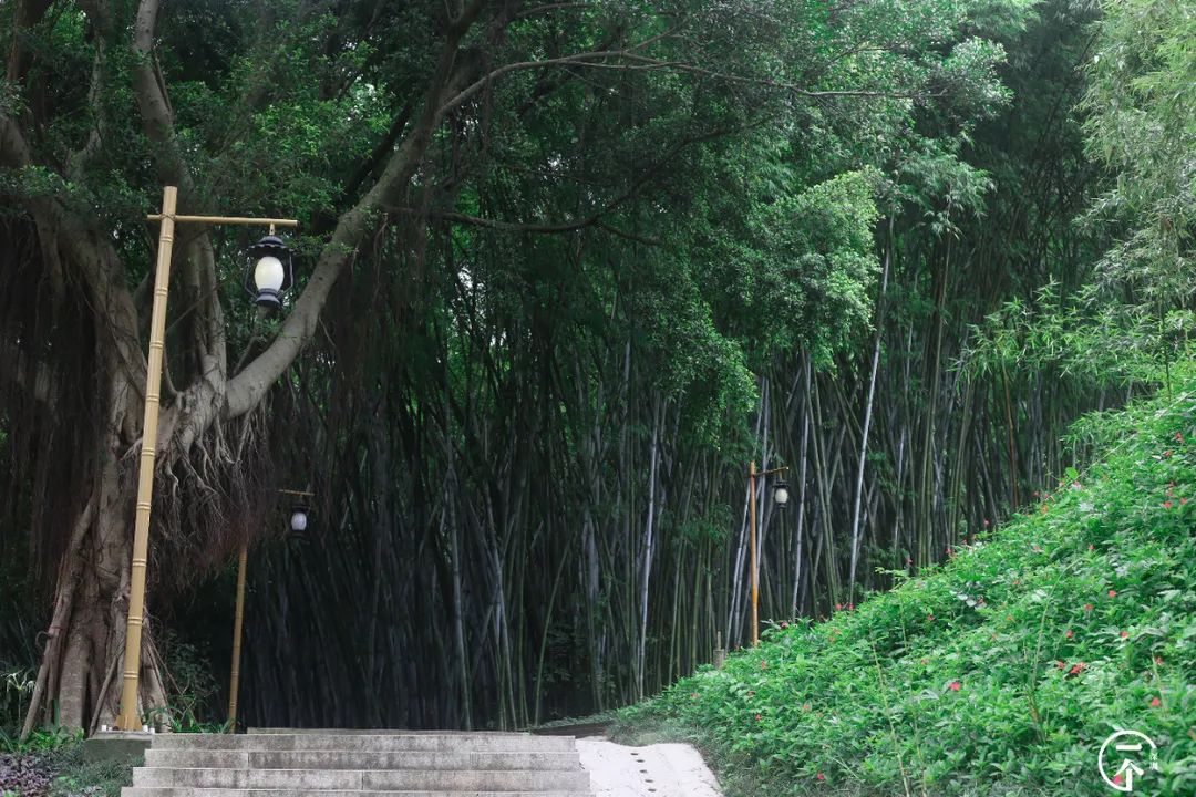 深圳一座被高估的城市,深圳严重被低估的板块