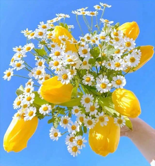 讨厌推销的人怎么办,为什么特别讨厌推销东西的人