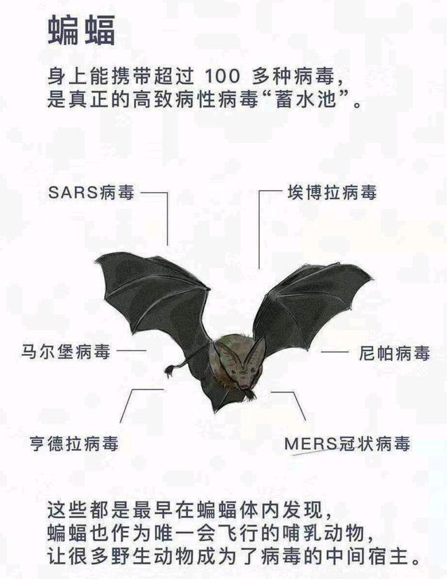 致疫情下的生活,致我的抗疫时光