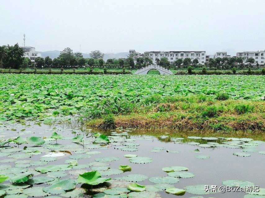 自驾广西有哪些好玩的,自驾游从广西出发去哪比较好玩