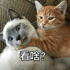 oppo手机一键优化可以用吗,oppo手机一键导数据