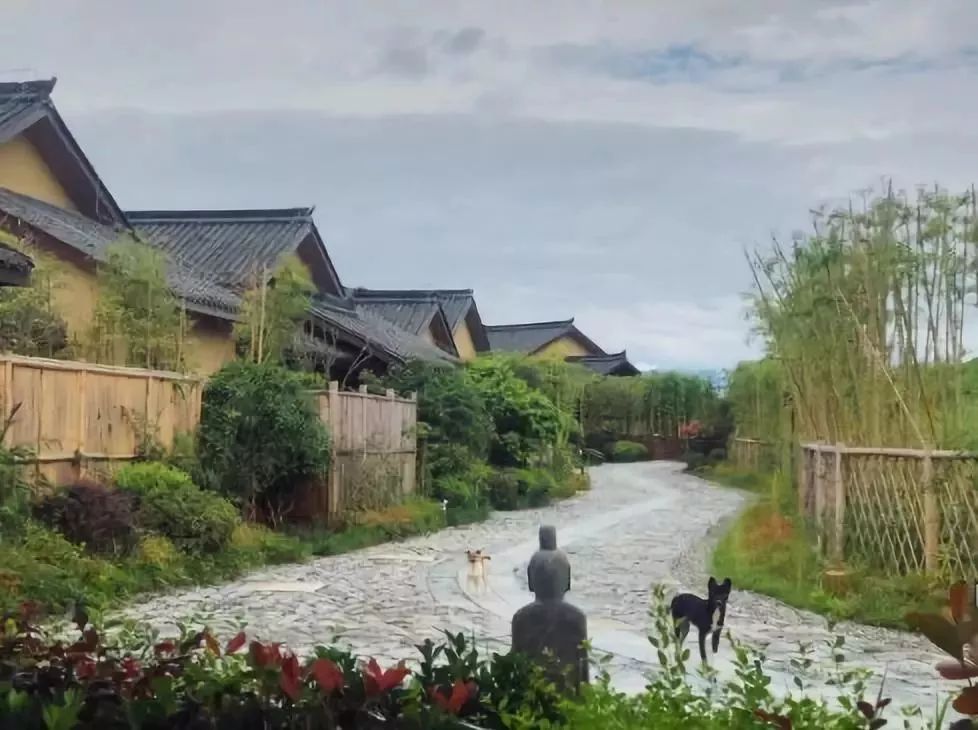 成都出发，一路向西的“旅行列车”年底开通！沿途好多……