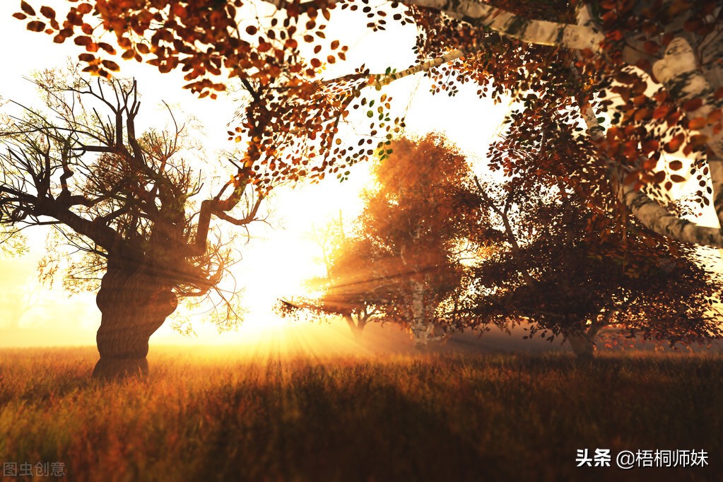 第一次见证催眠术的神奇,第一次接受催眠治疗感受