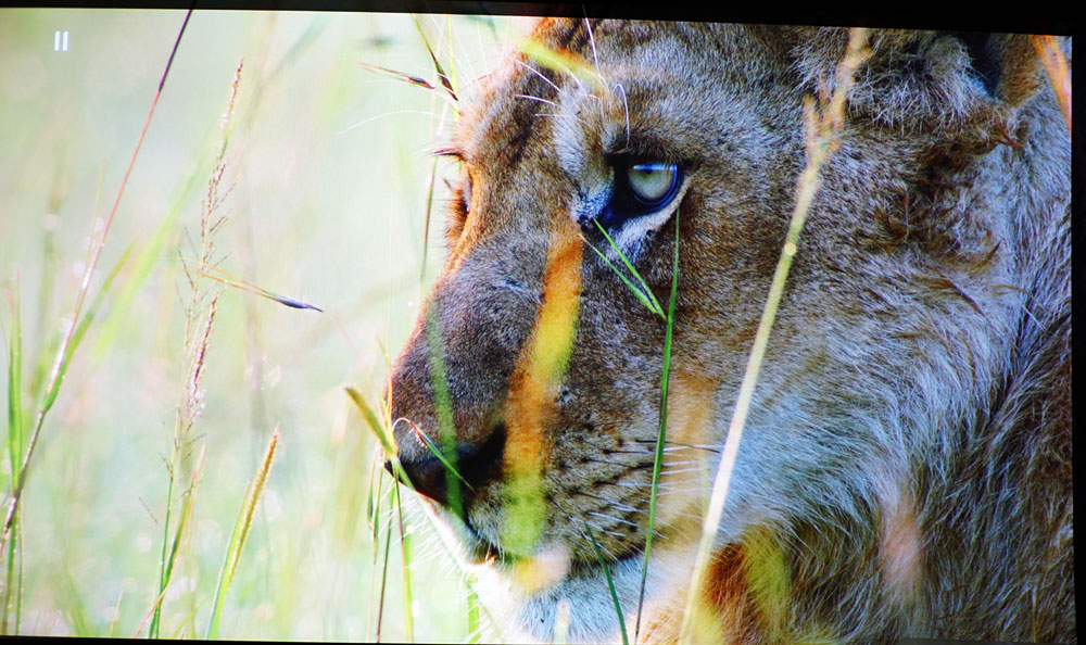 马兰士sr7013支持杜比视界吗,马兰士影院功放哪几款最经典