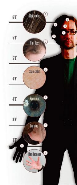 dna破案电视剧,dna破案电影