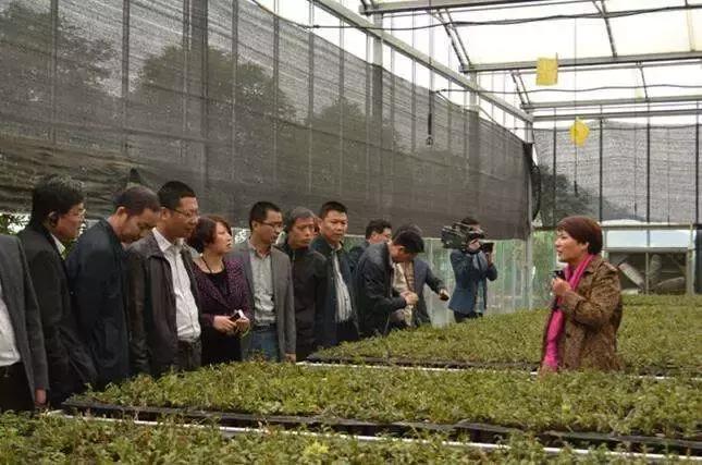 森宇农业,森宇创业