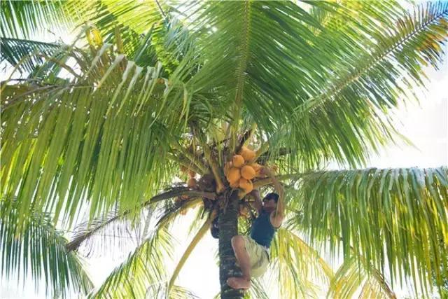 对帕劳之行的感悟,帕劳一场诗和远方的旅行