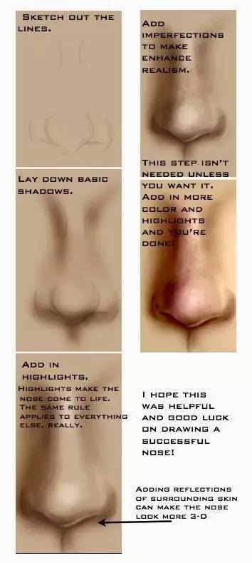 美术资料大全,大象的鼻子简单画法