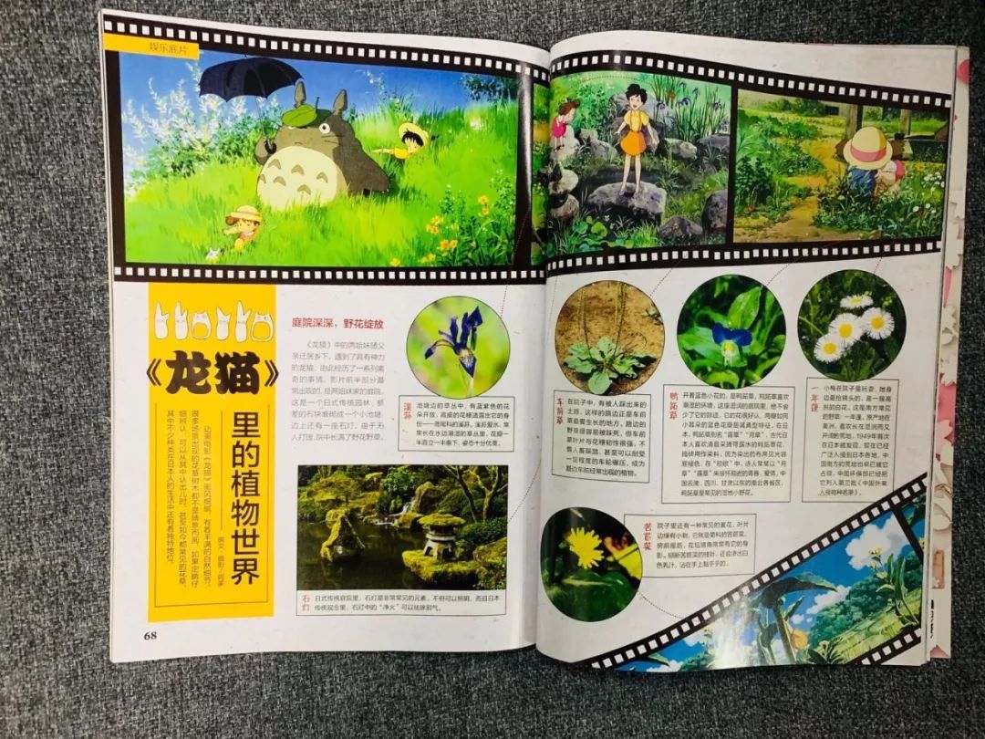 不知道给孩子订哪些杂志,看这篇